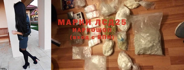стафф Магадан