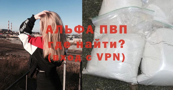 дмт Магас