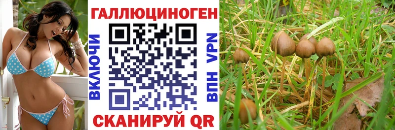 Галлюциногенные грибы ЛСД Сысерть