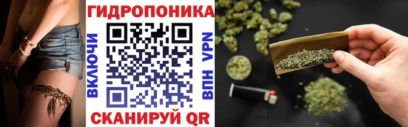 сколько стоит  Сысерть  Шишки марихуана сатива 
